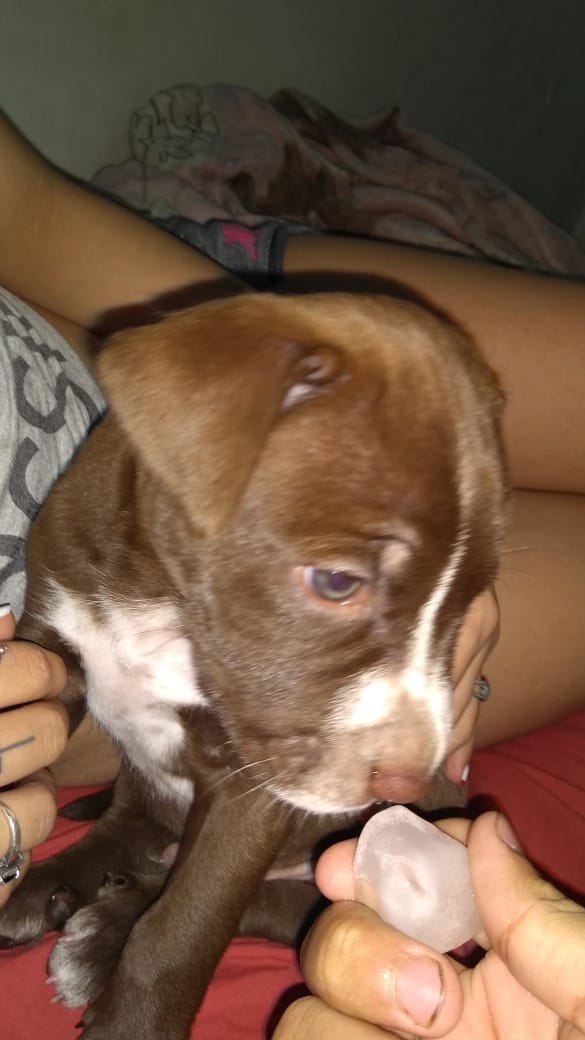 LaaGaabuu's tweet photo. Bienvenido maylo😍 https://t.co/ICqBF729nQ
