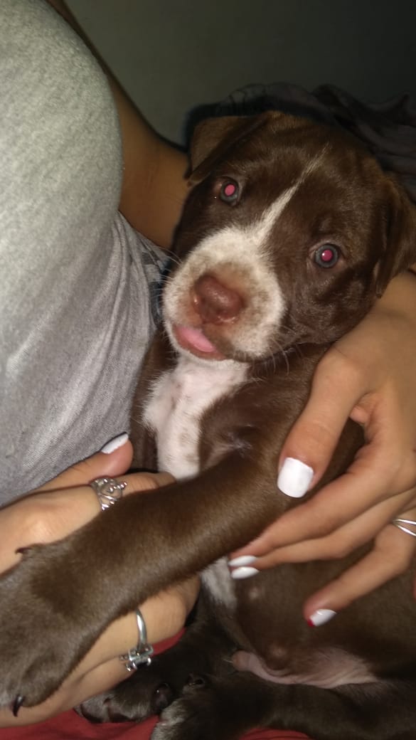 LaaGaabuu's tweet photo. Bienvenido maylo😍 https://t.co/ICqBF729nQ