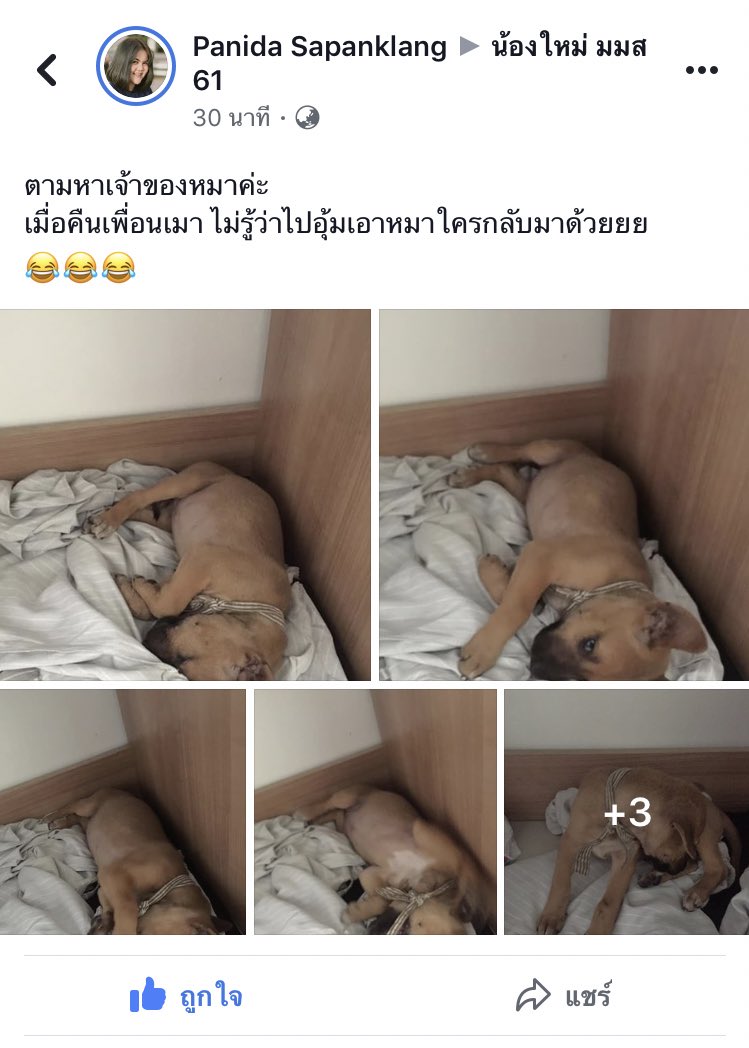 อ้ายจอนนี่ 𝕏 tweet media