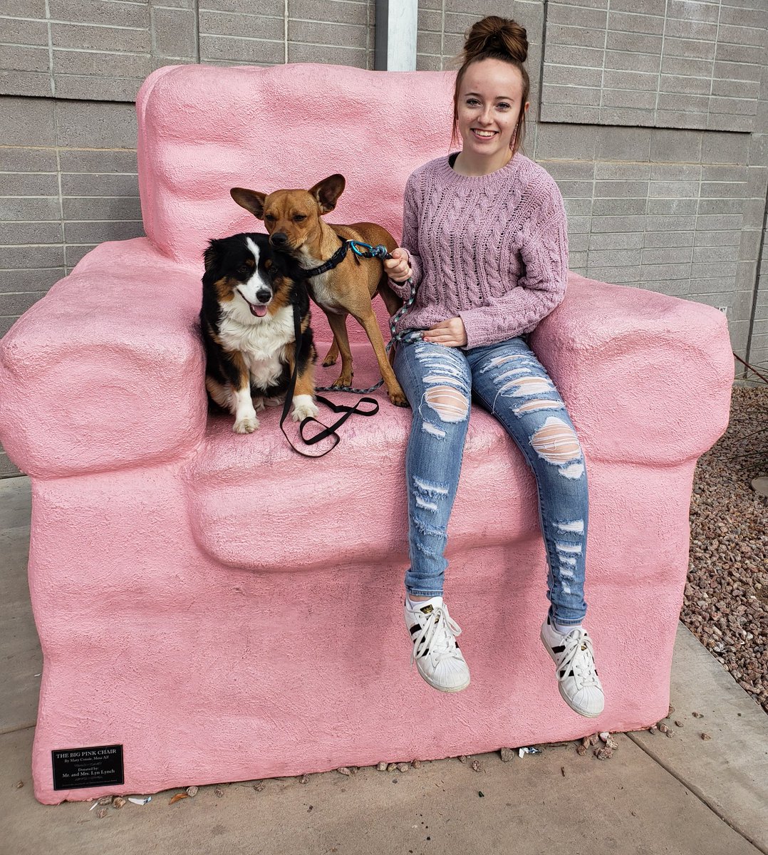 aimclln's tweet photo. A walk thru downtown Mesa with my beautiful daughter and the pups🌞🐶🌴 #arizonalife #mesaarizona #miniaussie #chihuahuabasenjimix #downtownmesa #vitaminD https://t.co/jWyN8yolrM