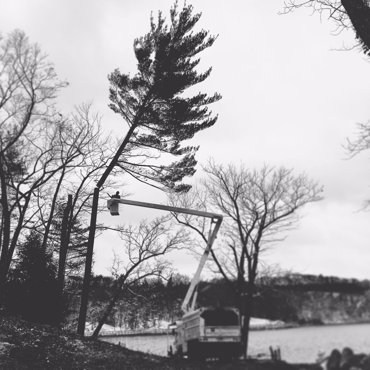 Advantage_TreeS's tweet image. Happy New Year!