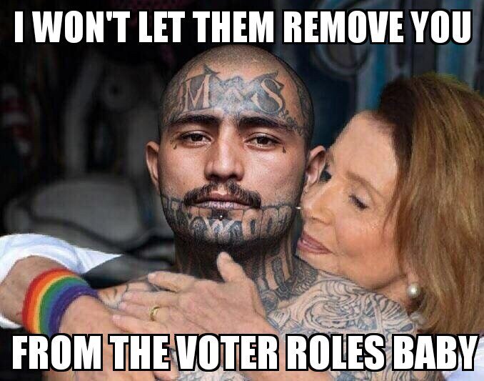 Trump considering releasing illegal aliens in Pelosi rich, snotty district