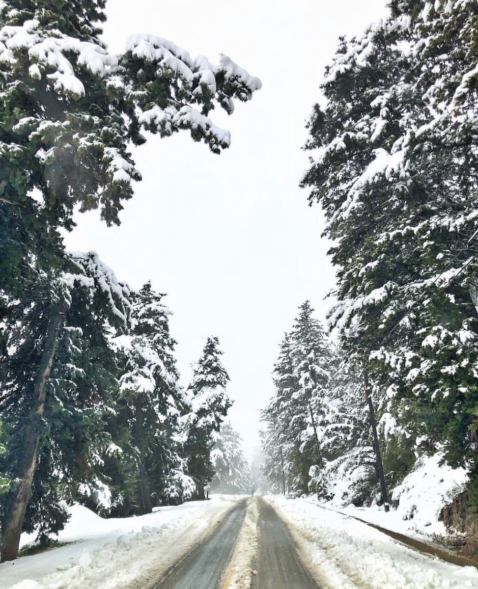 lebanonpics's tweet image. Lebanon in white ❄️🇱🇧
