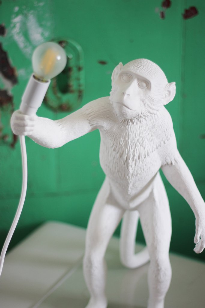 aprilandthebear's tweet image. S u n d a y  V i b e s

#monkeylight #sale #quirkyhomedecor #lightingsale