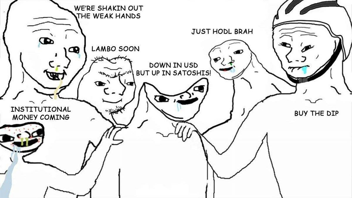 Average Crypto User tweet media