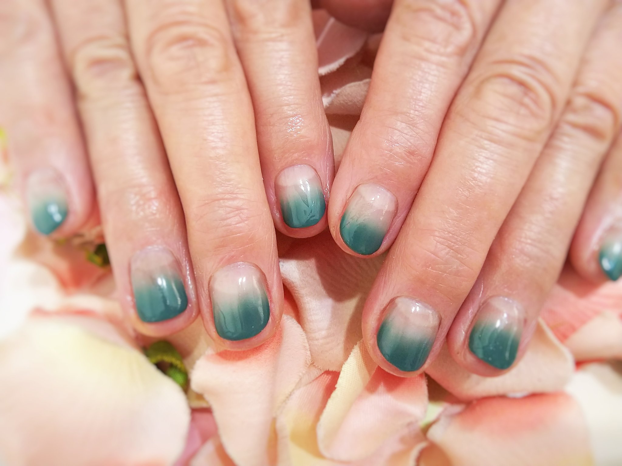 埼玉県北本市 ネイルサロンnobilitynail 70代のお客様ジェルネイルグラデーション ネイル ジェルネイル 埼玉 県ネイルサロン 北本市ネイルサロン 埼玉ネイルサロン 北本ネイルサロン リーフジェル カーキ色 T Co Fub4rzn8zj Twitter