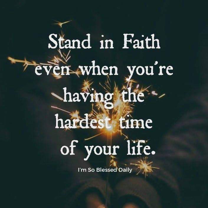 Joel_UfcYoda's tweet image. 