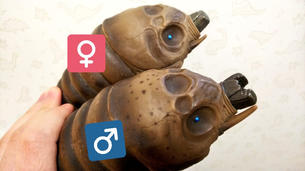 モスラ 幼虫（オス・メス）2004 4体セット　ソフビ モスラ 幼虫（オス・メス）2004 4体セット ソフビ モスラ 幼虫（オス