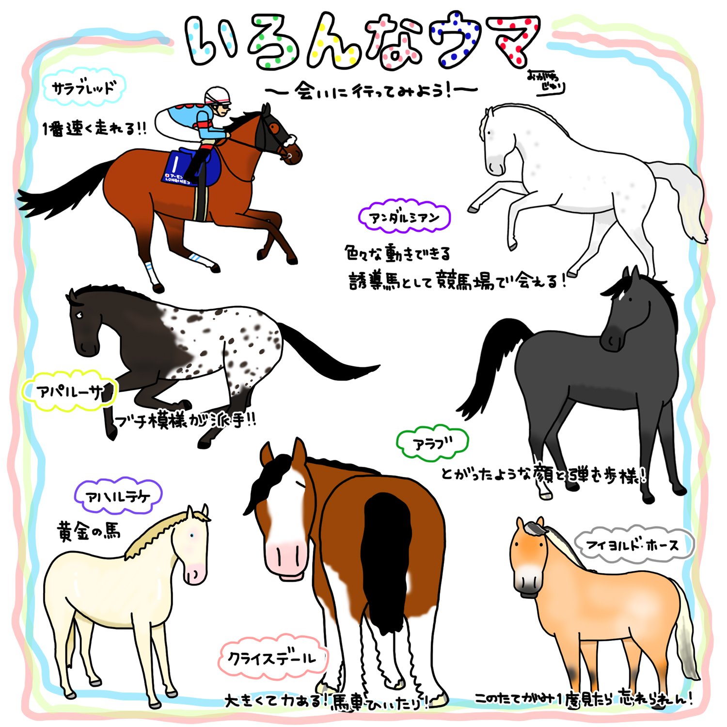 おがわじゅり 馬の種類を知ればもっと乗馬が楽しくなる いろいろな子がいるから 描いてて楽しいなー おがわじゅり 馬の種類を知ればもっと乗馬が楽しくなる いろいろな子がいるから 描いてて楽しいなー