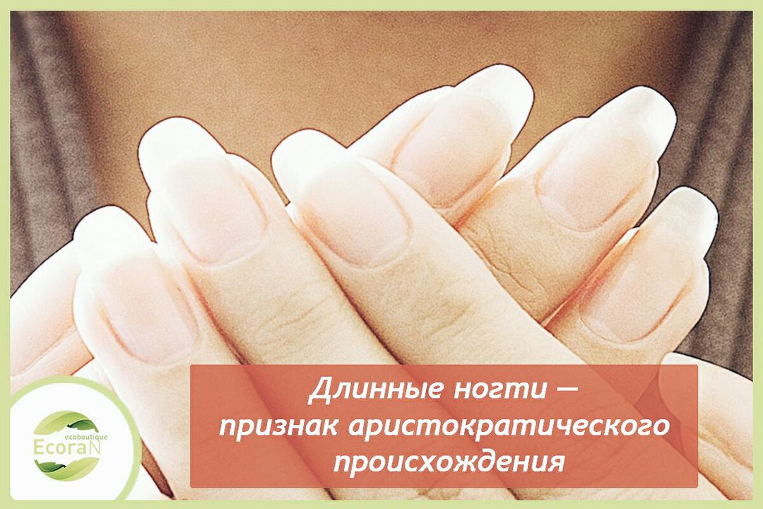 EcoranEcoran's tweet photo. #экоран_знает
💡А знаете ли вы что...
Длинные ногти — признак аристократического происхождения 💅
Изначально отращивать ногти стало модным в Китае. Таким образом девушки из благородных семейств подчеркивали, насколько далеки они от любых домашних… https://t.co/H9frh2ynhO https://t.co/JRP4OhbCi6