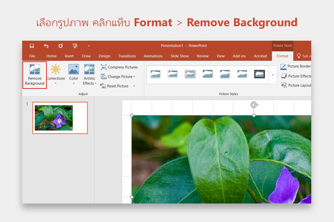 SparkTechTH's tweet image. [อัปเดต] เทคนิค #PowerPoint : ลบพื้นหลังรูปภาพออก (ทำให้โปร่งใส) ไม่ต้องง้อ Photoshop เพิ่มความปังให้กับสไลด์ ใคร ๆ ก็ทำได้ ✨