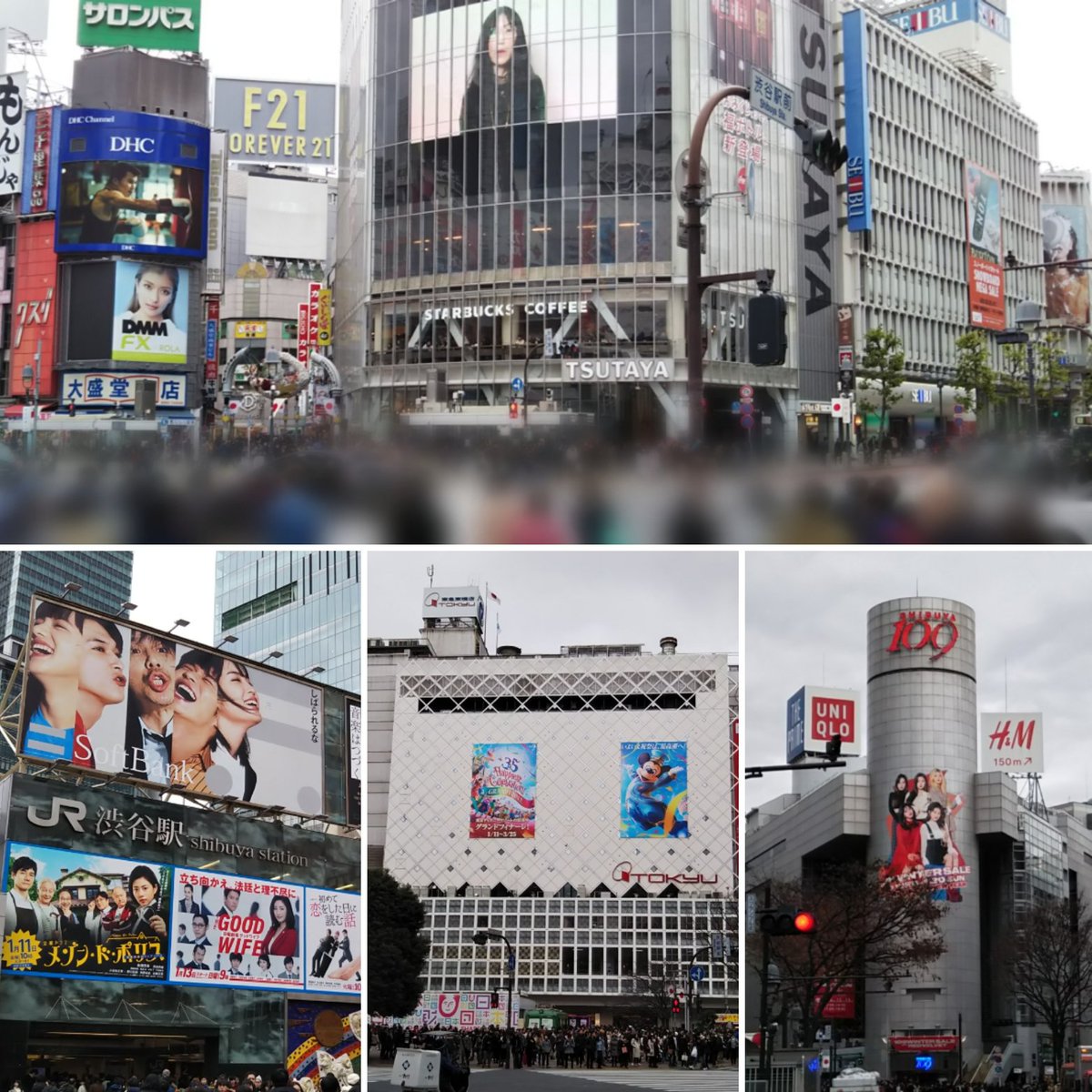 Ichikawa Tamotsu 人生初の渋谷 テレビで観る光景ばかり 西武百貨店さんといったら 入口の青い大きな取っ手と 整然と並んだ壁面の窓が特徴的 階段も素敵です しかし 老朽化のため 年以降に建て替え予定 百貨店も 近代的なビルばかりになって Ichikawa Tamotsu 人生初の渋谷 テレビで観る光景ばかり 西武百貨店さんといったら 入口の青い大きな取っ手と 整然と並んだ壁面の窓が特徴的 階段も素敵です しかし 老朽化のため 年以降に建て替え予定 百貨店も 近代的なビルばかりになって