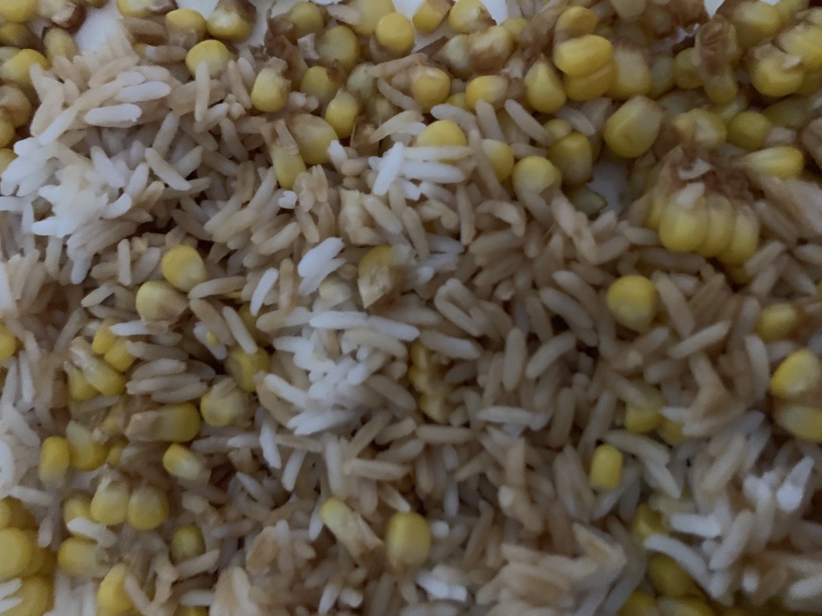 deitcher's tweet image. Eating like a person who just started a business. Total dinner cost ~$1 USD 🌽🍚✊🏼 #startupmode #watcheverypenny #earnrichlivepoor