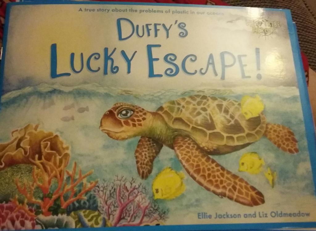 Thrilled to be reading such an empowering book next week as part of our Everybody Writes Week focus on #plastic #environmentalchange #2minutebeachclean #wildtribeheroes @DevonshireInf