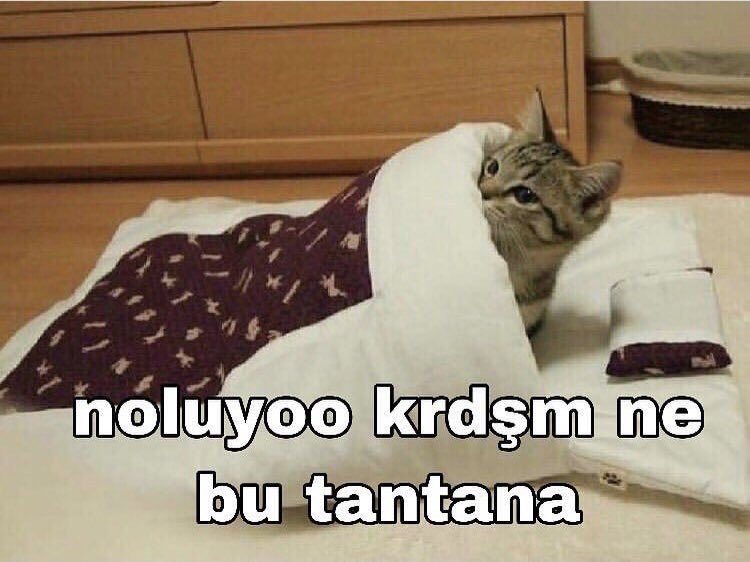 Gs taraftarları : Fb, başakşehir, bjk hepsi transfer yapıyor siz neyi bekliyorsunuz ?

Gs yönetimi :