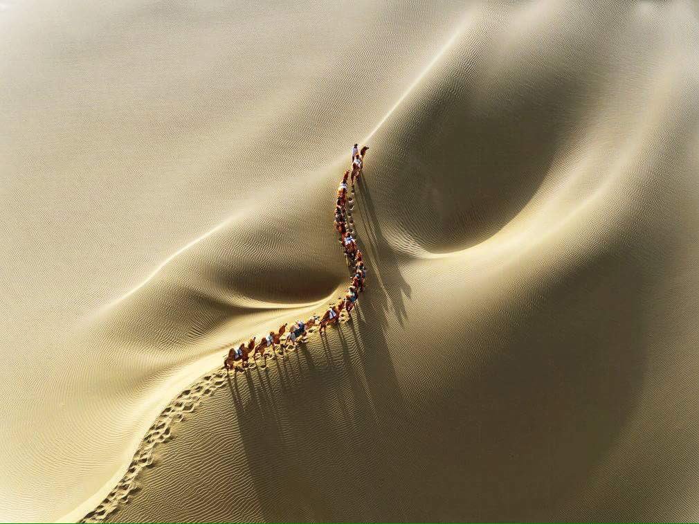 albertommoral's tweet photo. Ya vuelven a su hogar los Reyes Magos... 

#FelizNocheDeReyes #DiaDeReyes #ReyesMagos #felizdiadereyes 

Carabana de camellos en el desierto. Fotografía de Hanbing Wang. 

#photo #photography @hacerfotos 📸 https://t.co/LPfv699nQ9