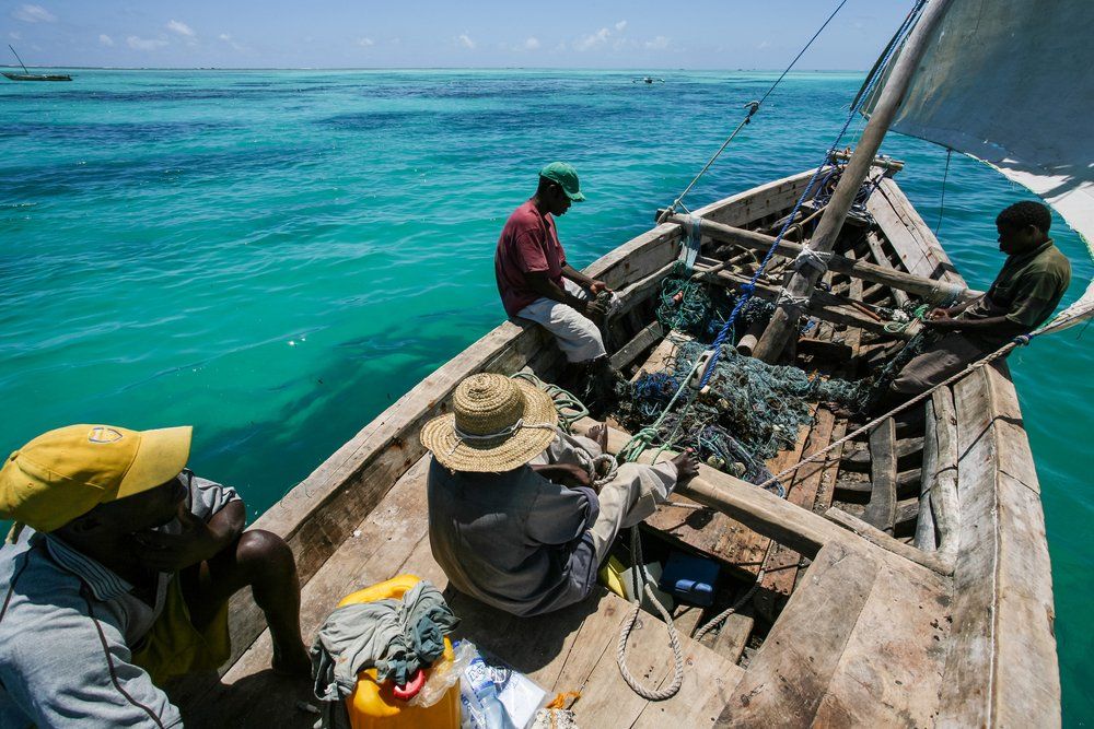 38 of 54 African countries have sea access and profit from maritime fishing, yet, the continent has a propensity to import 🐟. How can that be changed? By promoting fish farming among value chains and improving youth entrepreneurship 🎣
RT if you agree!