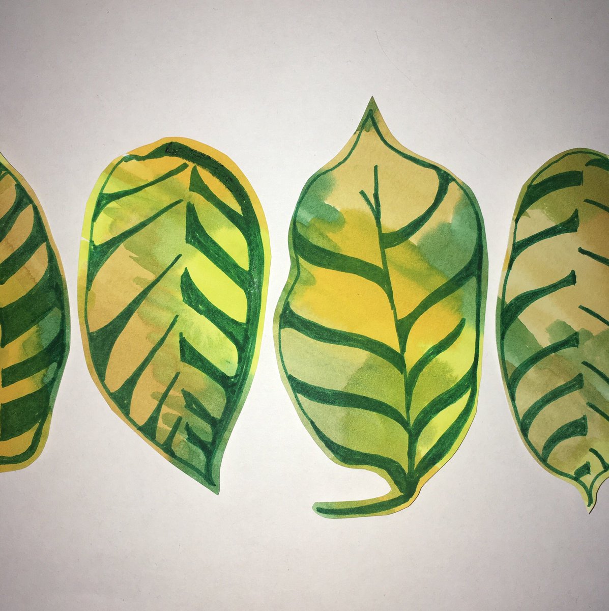 LouiseKirby_'s tweet photo. Day 6 of Fun A Day where I am playing with pattern inspired by nature. Today I’m taking my leaf drawings and playing with some colour and placements.
#funaday2019 #funaday #inspiredbynature #louisekirby #dundee
#dundeedesigner #printandpattern #illustration #textiledesigner https://t.co/ojYbhUXV8j