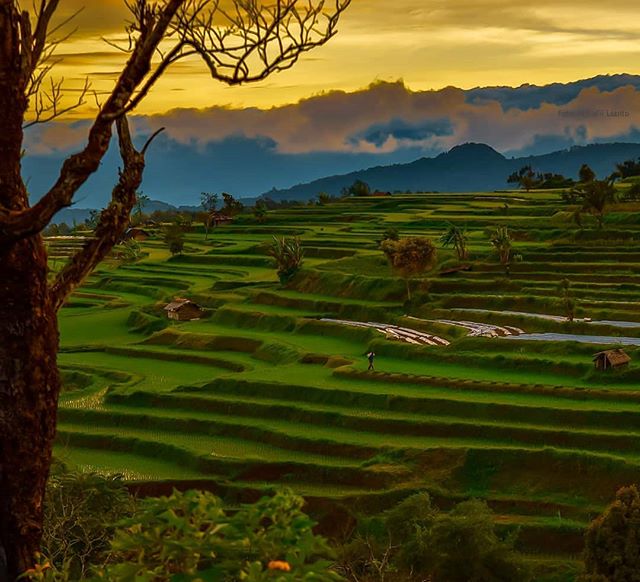 haluanharian's tweet photo. - @m.rafii_lianto - Entah kapan kita bisa menunggu senja bersama. Lokasi : Jorong Bulan Sariak Jambak Ulu, Kabupaten Tanah Datar. #sumbar #sumbar_rancak #minangmendunia #minangkabau #minangtourism #geosumbar #geonusantara #badaceh #landscapephotography… https://t.co/1lKGe9sHIi https://t.co/JIDR5YVfnm
