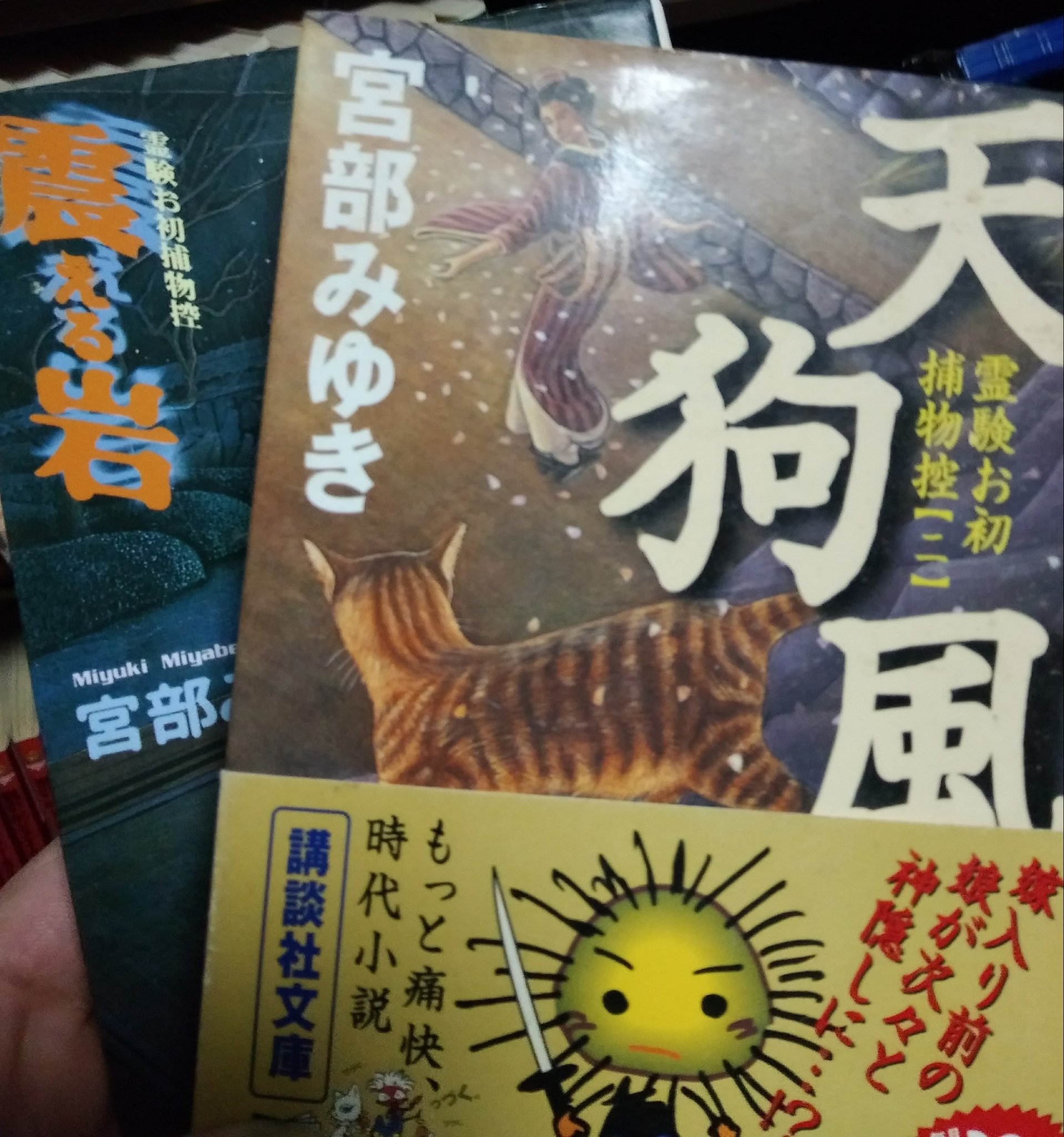 剣ニャン丸 3 小説版ドラゴンクエスト4 久美沙織著 これ初めて読んだ小説だな 本好きになったきっかけです 最初のピサロ編で泣いて 1章でまた泣く 最後のセリフがヤバい テイルズで有名になる前のいのまたむつみさんの絵がまた最高 ライアンがナイス