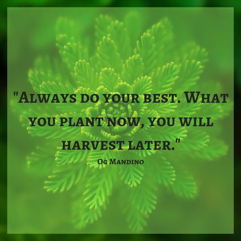 Work smarter, not harder! If you get the harder things out of the way first, it will be smooth sailing the rest of the way!