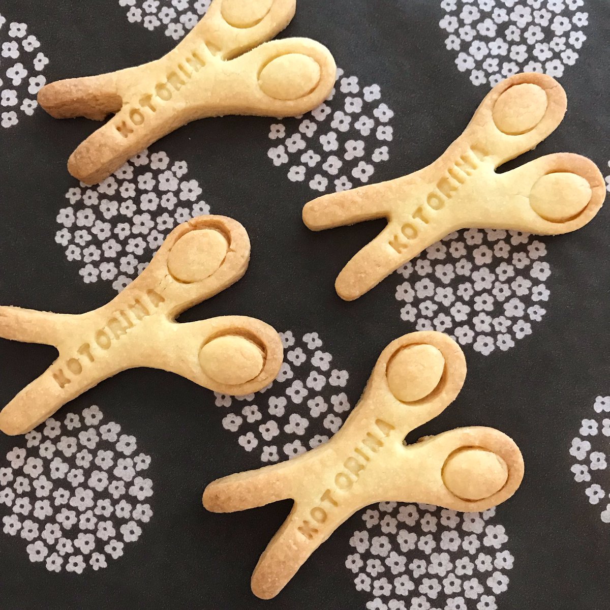 2019年もよろしくお願い致します✂︎