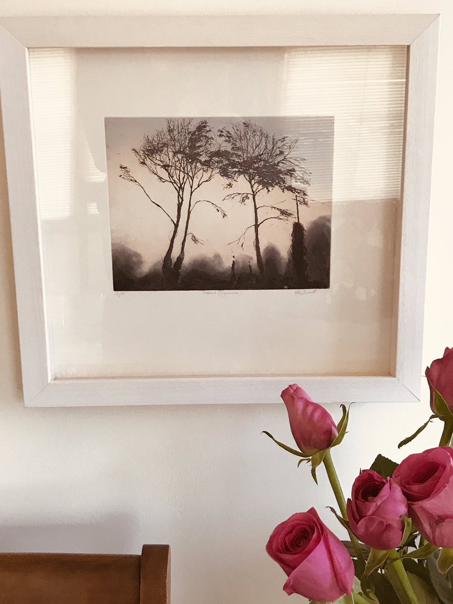 BOARDMANV's tweet photo. Thank you @banda_ie for this beaut limited print #ailbhebarrett #sycamoretrees B&A developed this initiative 25+ years ago supporting Irish artists #bandacollection #modernart #supportingtalent #irishart #vbpr ✌🏻💙 https://t.co/t6DFL47QGB