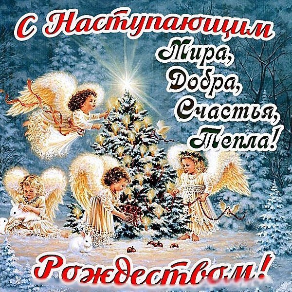 DwOP9HjXcAAq3Iq.jpg:large