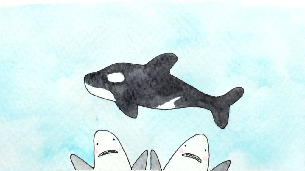 けいこっとん こんばんは 今日は 十数年ぶりに名古屋港水族館に行ってきました もう 入ってすぐのシャチが 可愛いかったです でも サメは忘れられない なので セットで描きました Illustration Shark イラスト サメ 名古屋港水族館