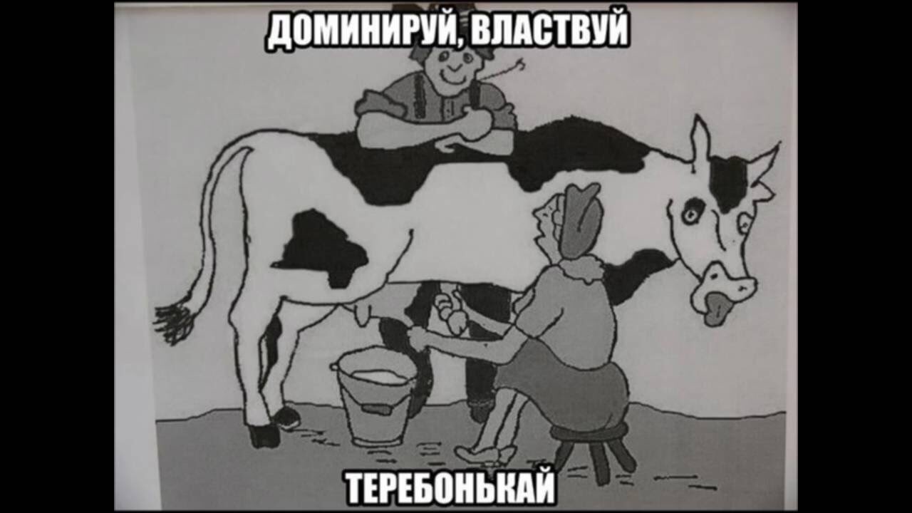Картинки смешные доярки
