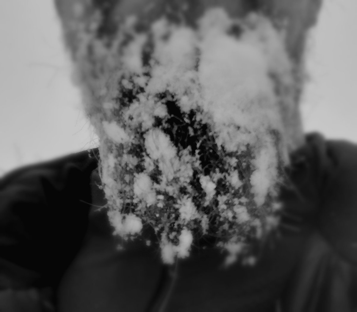 JariJunno's tweet photo. Perinteinen loppiaisen aloitus, umpihanki lenkki. Lunta oli riittävästi myös puussa. Jospa sitä kesällä taas kokeilisi vaihteeksi maratoniakin. https://t.co/xK0FsbRxv8