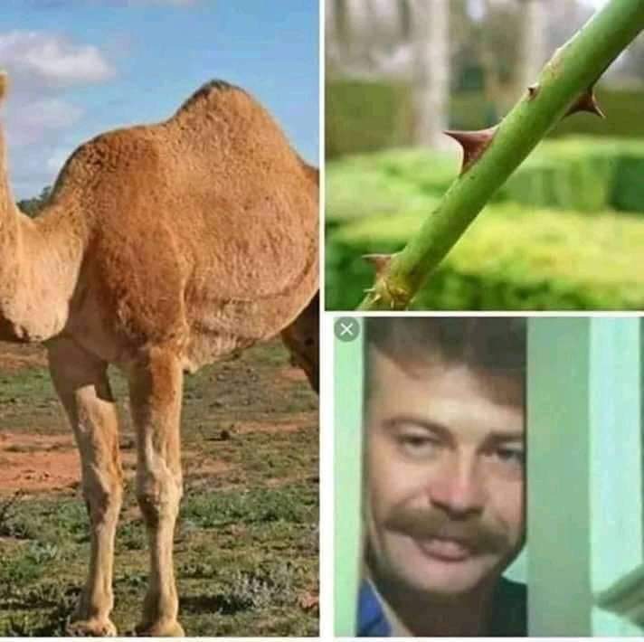 #pazar Ressam burda ne anlatmak istemiş 😄