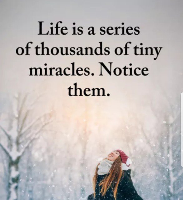 SummerLockdown's tweet photo. #Truth https://t.co/FoeyJmBtWe