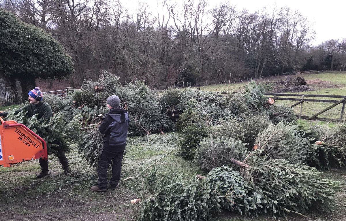 Thanks to everyone who donated there Christmas Trees, now the trees are being chipped to be used to heat water going into a toilet block on one of our local campsites, sorry if we couldn’t collect your tree this year, but please keep us in mind for next year!#ChristmasTree#scouts