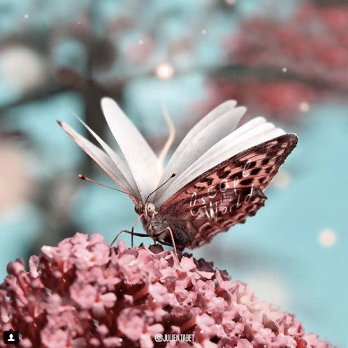 Without creativity, you have nothing but soulless facts. We must write our own stories. Go on adventures, meet  people and create your own epic novel. 
“The world is a book and those who do not travel only read one page.” – J.R.R. Tolkein 
 #ExpressYou 
Photo Credit: Julien Tabet