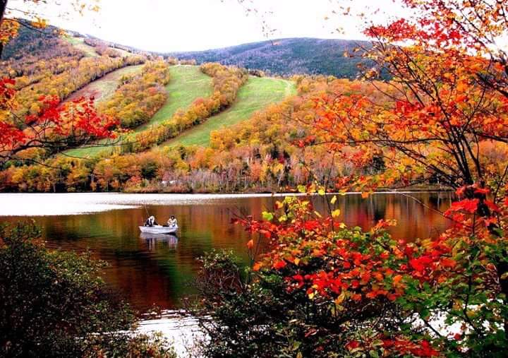 Gjoshi64's tweet photo. My Blogworld Forum
A forum for people who love blogs.
https://t.co/LCBUETBIi6
🌾🦋🌾
#Blogs #Nature #Beauty #Humor #Poetry #Food #Recipe #Inspiration #Spiritual #Health #Photography #Travel #Gardening #Art #Painting #Craft #Life #MyBlogworld #MyBookworld #MyArtworld #TravelAndMe https://t.co/0inlRjAl2x