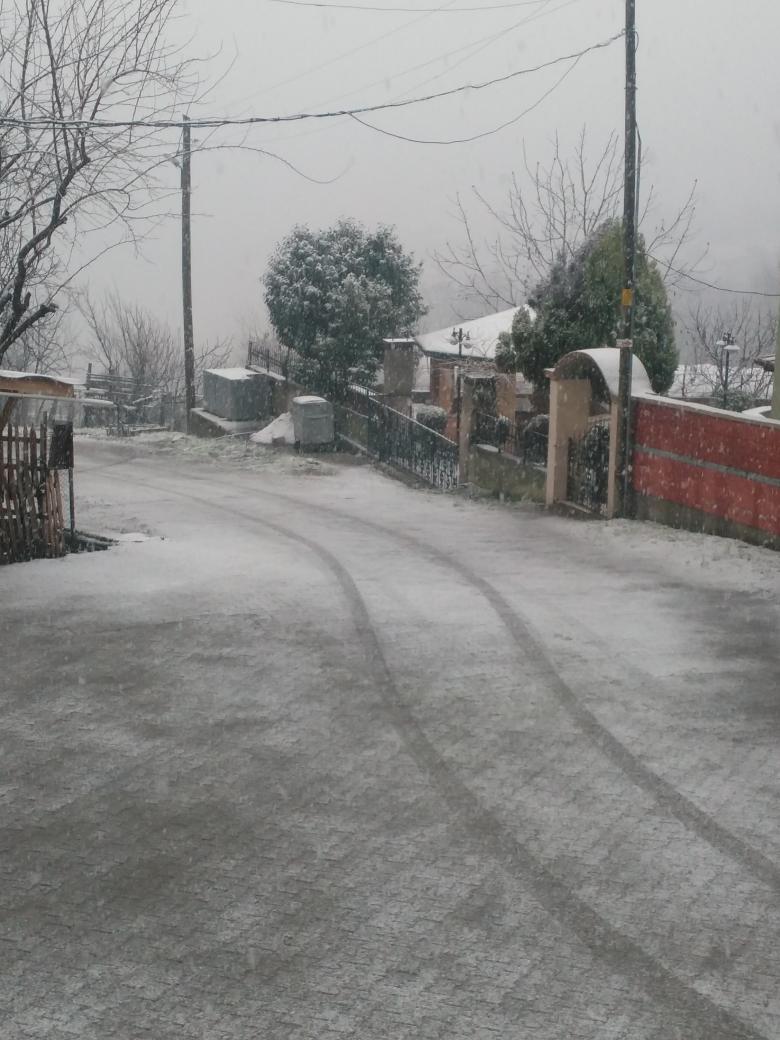Şu kendini bilmez arabaların kar yağarken yoldan geçme huylarını artık törpülemeleri gerek.. 😓🌨️
#kar #kartatili #karyagiyor #kış #KarGeliyo #KarNerde #karyağısı