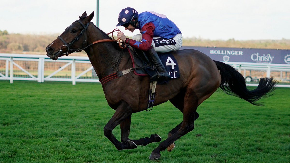 rpbloodstock's tweet photo. We speak to Evergreen Stud's Micheál Conaghan about a purple patch for the farm's graduates - including Long Walk Hurdle hero Paisley Park and £295,000 Cheltenham sale top lot Chantry House > https://t.co/SGdWWKLgrX https://t.co/8699TmEDNj