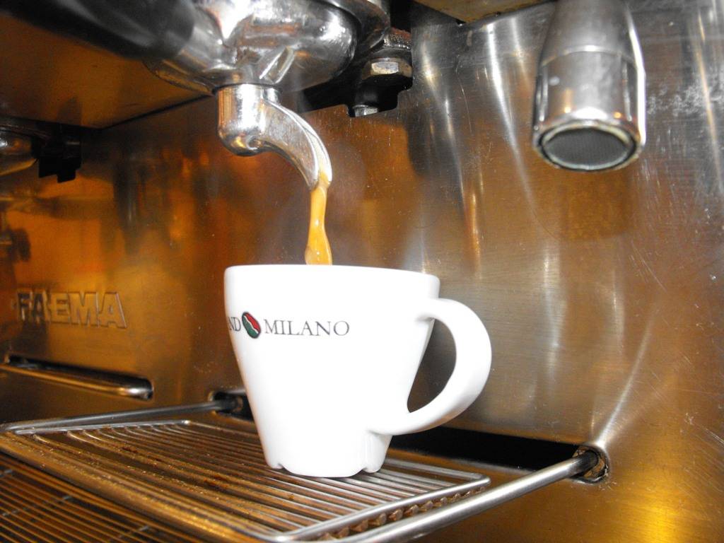 Toddy Furrington tweet media