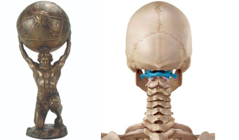 Mitolojide evrenin yükünü omuzlarında taşıyan Atlas, bilime esin kaynağı olmuş. Tıp dilinde, başın yükünü taşıdığı için birinci boyun omuru "Atlas" olarak adlandırılmış.