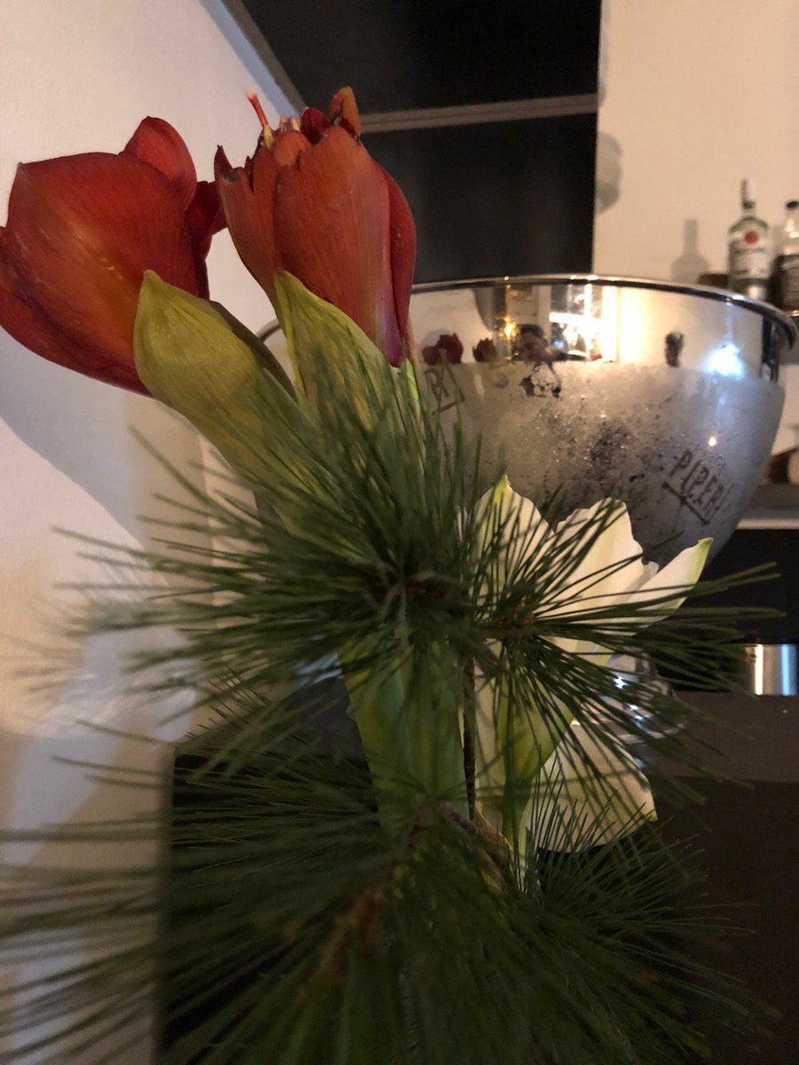 volkmitte's tweet photo. TOMORROW WE ARE OFFICIALLY OPEN DAILY!! JOIN US!!!

M-F - 8:00 - MIDNIGHT
SATURDAY - NOON - MIDNIGHT

Menu:  https://t.co/nZwbrE6cO7

Brunnenstraße 182, 10119 Berlin, Germany

#oysterbar #coffee #lunch #dinner #volk #berlin #rosenthalerplatz https://t.co/FSrhrCzKrP