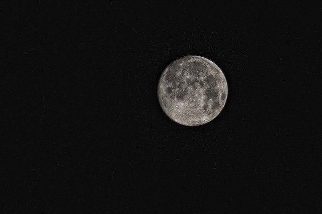 RealSciencing's tweet photo. A biosphere experiment cultivated flora and fauna on the moon. https://t.co/VtUydcbZpF

(Via @LiveScience) https://t.co/RZDV36nnYZ