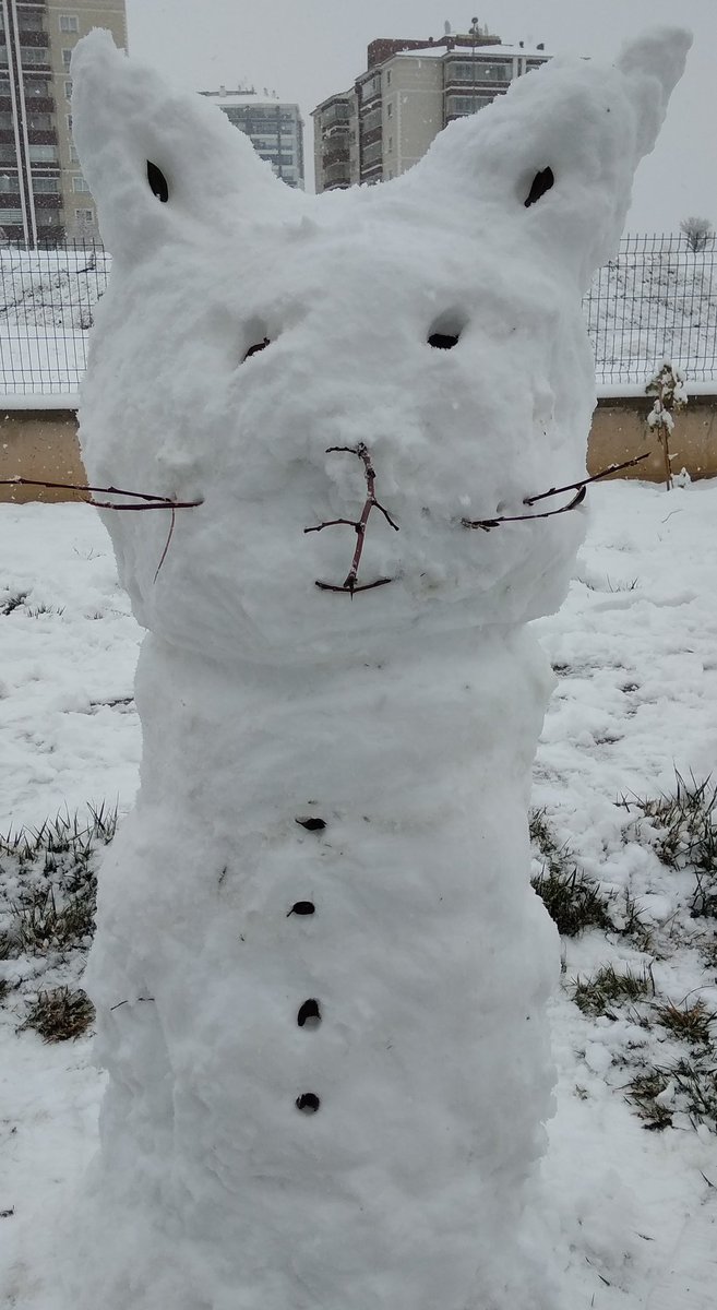 Zeyser (@zeyser40) on Twitter photo 