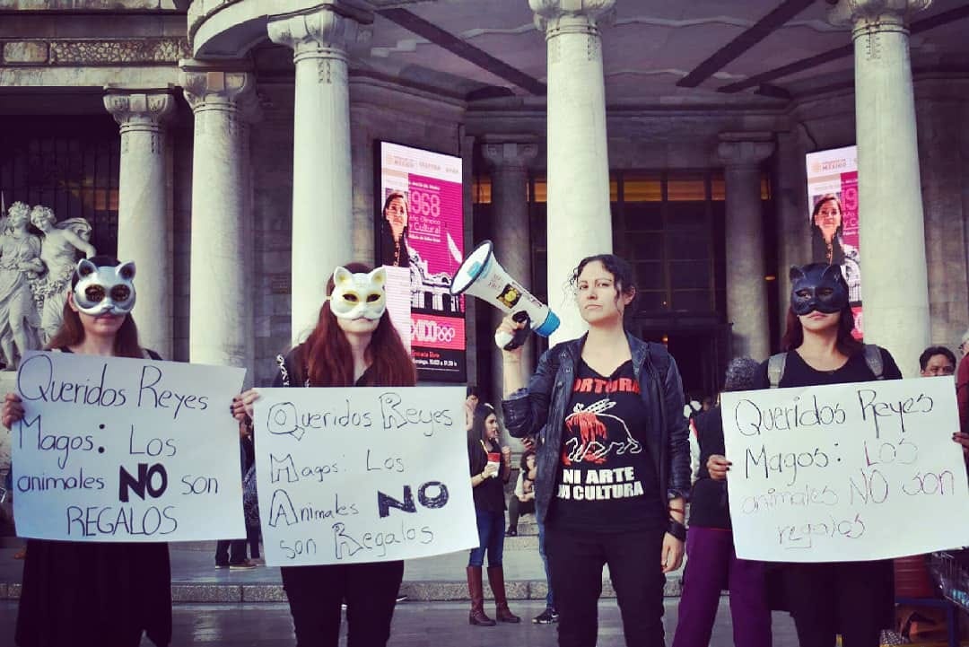 NaT_Animal's tweet photo. #DíaDeReyesMagos Salimos varios días a las calles del centro y a la Feria del Juguete a informar y sensibilizar sobre la importancia de respetar a los animales, que no se les considere objetos y sobre su tutela responsable. ¡Los animales NO son juguetes! #AdoptaNoCompres https://t.co/jX1UmnwH7q