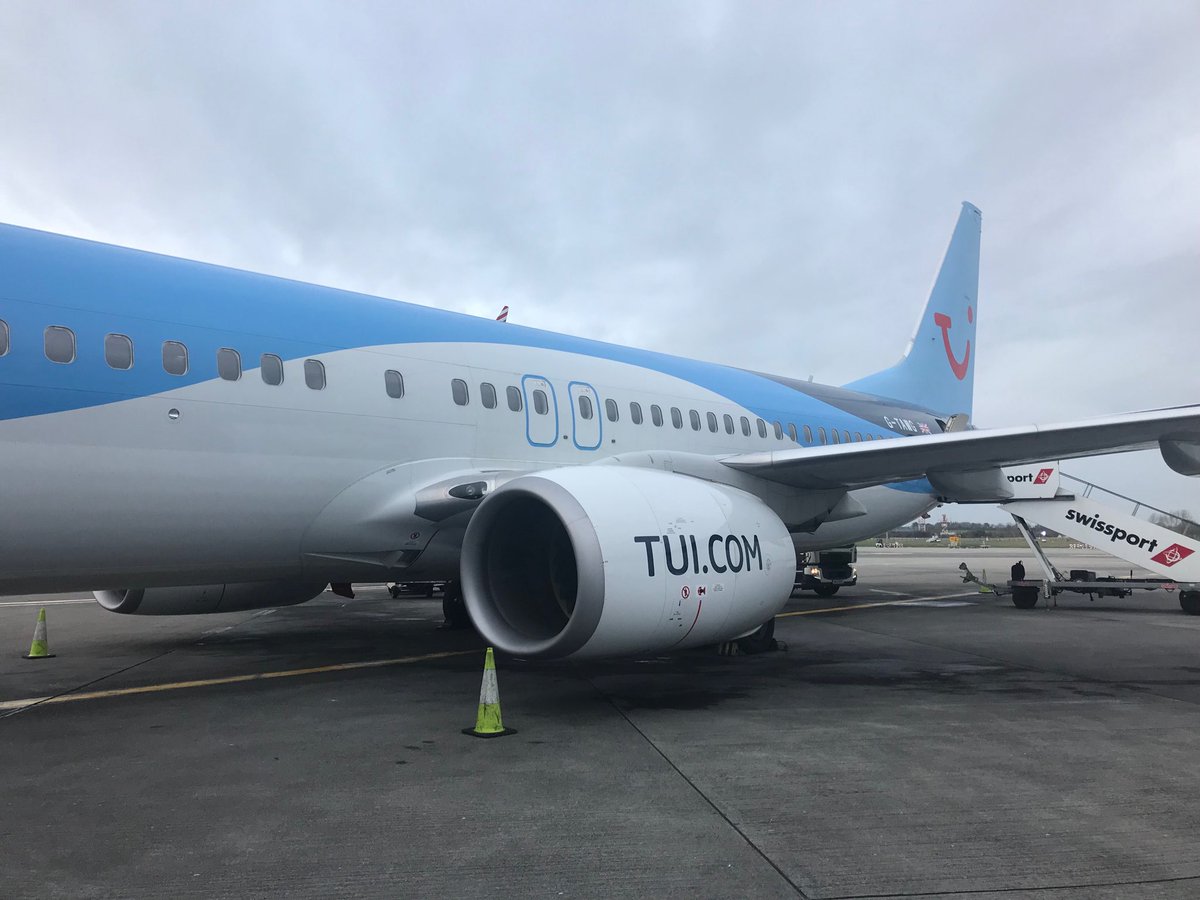 Padraig Collins tweet media