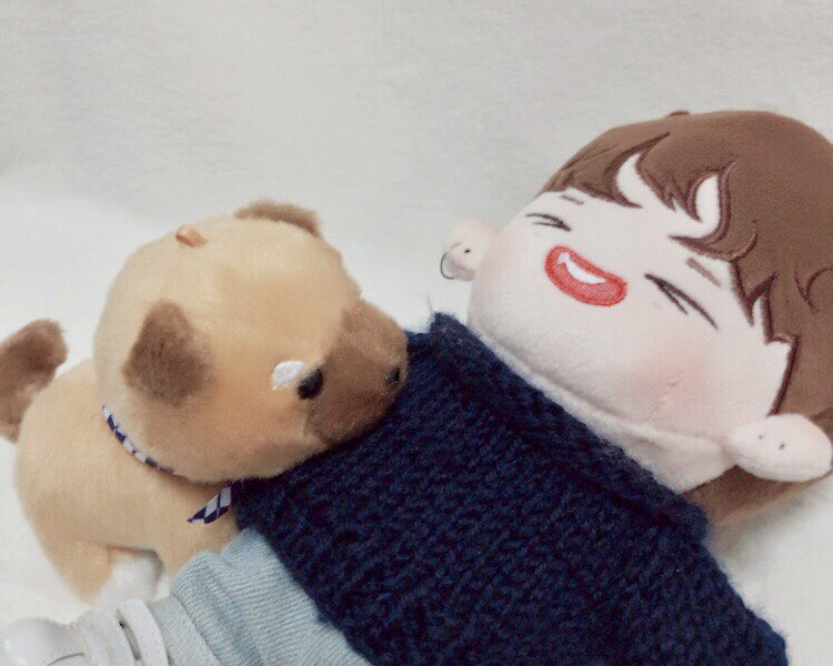 bbu_nal's tweet photo. 없던 뜨개질 취미도 만들어주는 솜덕질☺️ 
결론은 #켄뿌 + 니트 + 강아지 = ❤️ https://t.co/UXajfk15oY