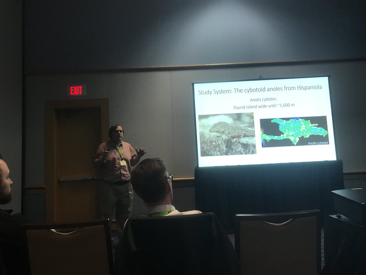 Dr. Brooke Bodensteiner tweet media