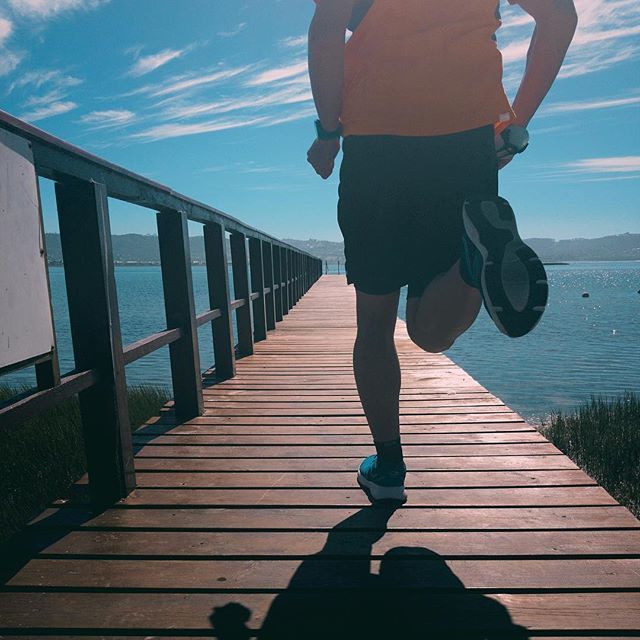bertrandvdb's tweet photo. 🏃‍♂️ .
.
.
.
.
 #runnerswithaltitude #kalenjitrail #trailrunninglife #trailrunningviews #ultratrail #trailandkale #instatrail https://t.co/d5s7Nu640h https://t.co/V4RDrFKTsl