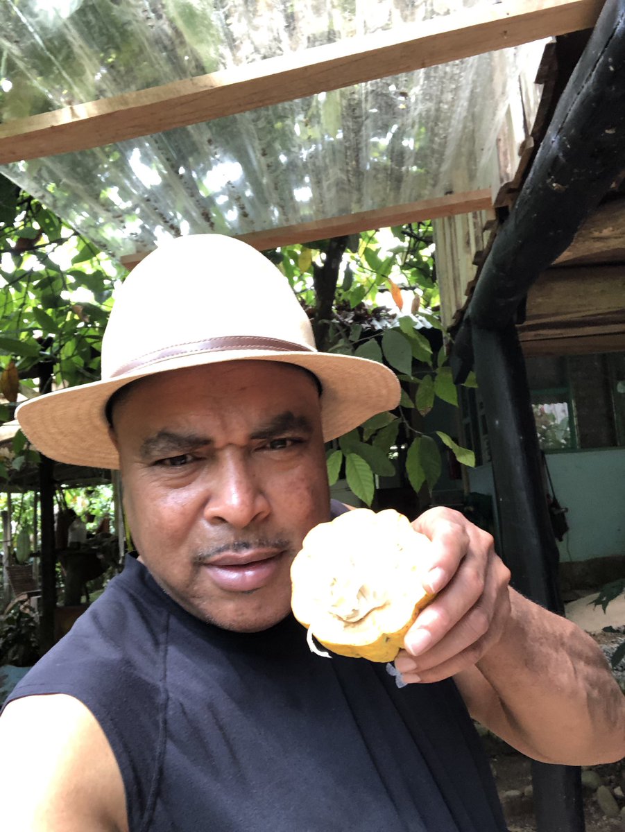 HotChocolats's tweet image. #cacaofarm #costarica #laiguanachocolates