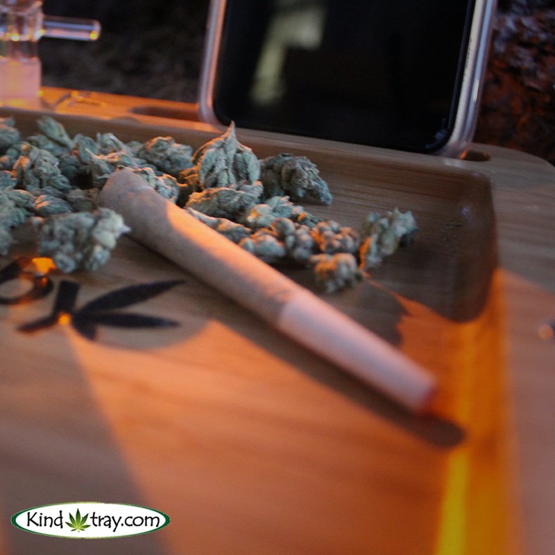KindTray's tweet photo. Being real kind with those trays! 😍
•••••••••••••••••••••
Follow Kind Tray for more📲
https://t.co/bV05Z2iBoN
••••••••••••••••••••••
#KindTray #TraysForDays #RollTrays https://t.co/NqbHoXXxKx